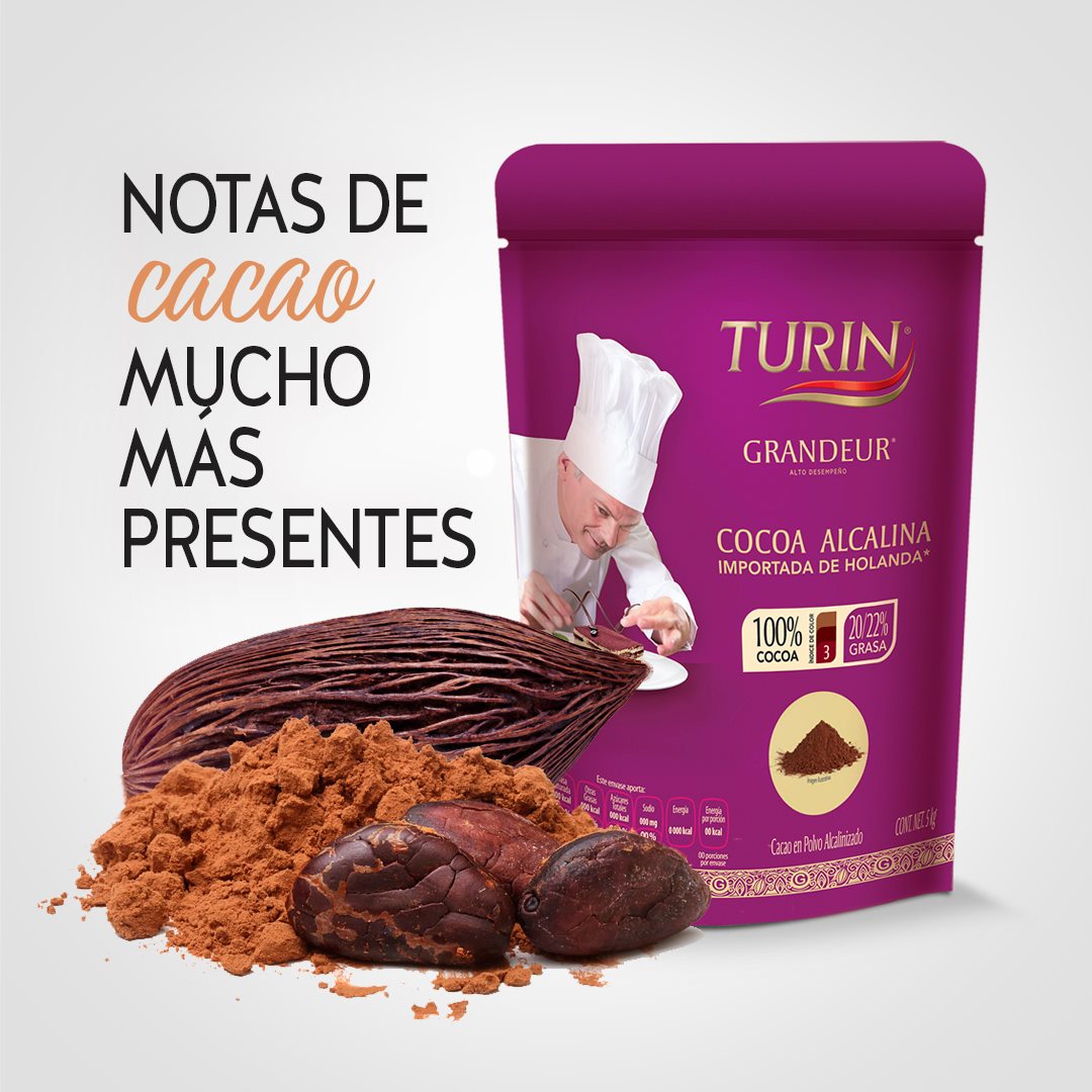 Cocoa Alcalina Turin 5kg