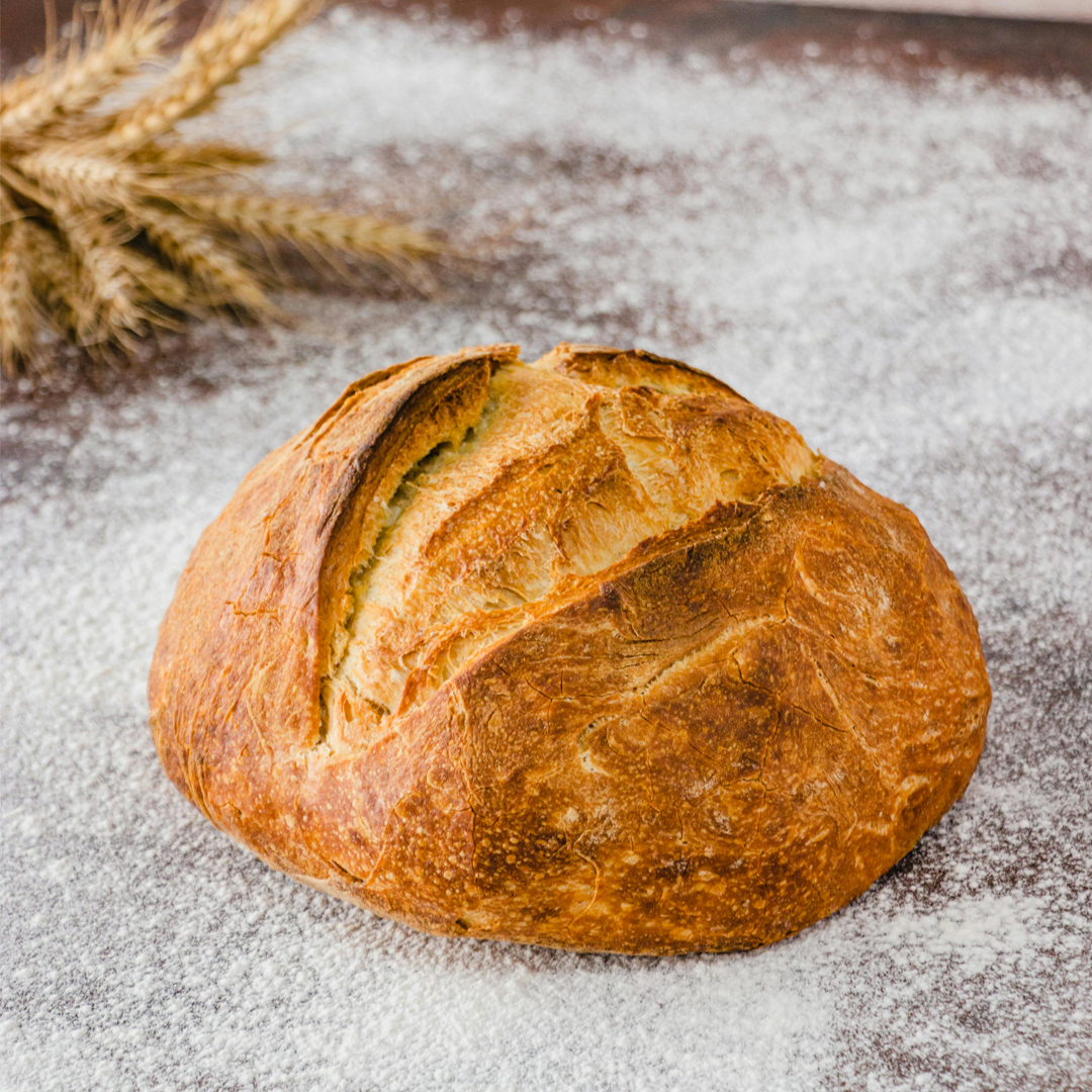 Masa Madre Durum Puratos 1 kg